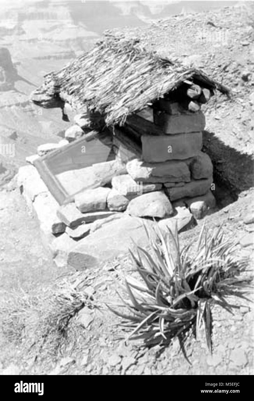 B Grand Canyon Fossil Fern Ausstellung SEITENANSICHT: EINSIEDLER SCHIEFER FOSSIL FERN Ausstellung mit originalen STROHDACH IM CEDAR RIDGE AUF DEM S KAIBAB TRAIL. 13. Sep 1937. . Stockfoto