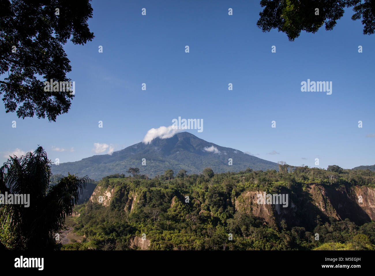 Die schöne Landschaft des Gunung Marapi Vulkan auf Sumatra mit Höhe von 2.891 m. Natürlich umrahmt mit Blick durch die Bäume mit sianok Canyon Stockfoto