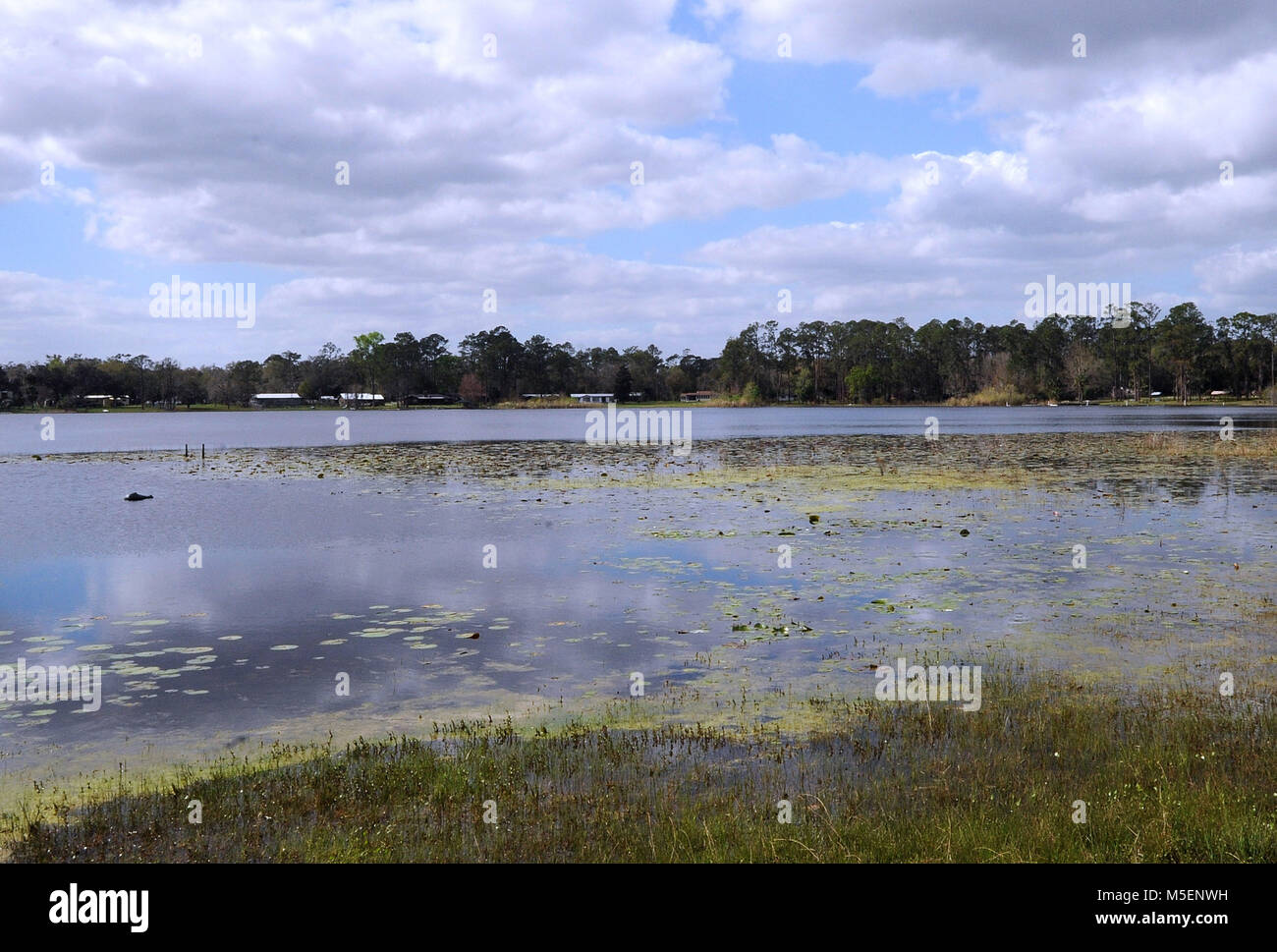 Palatka, Florida, United States. Februar 22, 2018 Silver Lake in Palatka, Florida ist am 22. Februar 2018, dem Tag nach dem Pfr. Billy Graham starb im Alter von 99 Jahren. Die Weltbekannten Evangelisten seine erste Predigt am Bostwick Baptist Church 1937 predigte, wurde er in der Southern Baptist Kirche am silbernen See in Palatka 1938 getauft; und er war ein evangelist geweiht und predigte am Pniel Baptist Church in Palatka 1939. S Credit: Paul Hennessy/Alamy leben Nachrichten Stockfoto