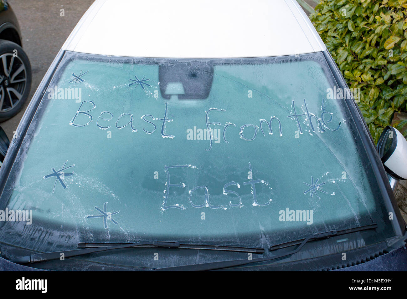 Flintshire, Wales, UK, 23. Februar 2018, UK Wetter: Temperaturen sind bereits Anfang zu fallen wie eine arktische Luftmassen in Richtung UK" nannte das Tier aus dem Osten" mit sehr kalten Temperaturen und Schnee in den nächsten Tagen. Viele heute beginnt zu fühlen, die wie die Temperaturen fallen weit unter dem Gefrierpunkt letzte Nacht. Eine gefrorene Windschutzscheibe mit den Worten Tier aus dem Osten in den Frost geschrieben, lixwm Flintshire © DGDImages/Alamy leben Nachrichten Stockfoto