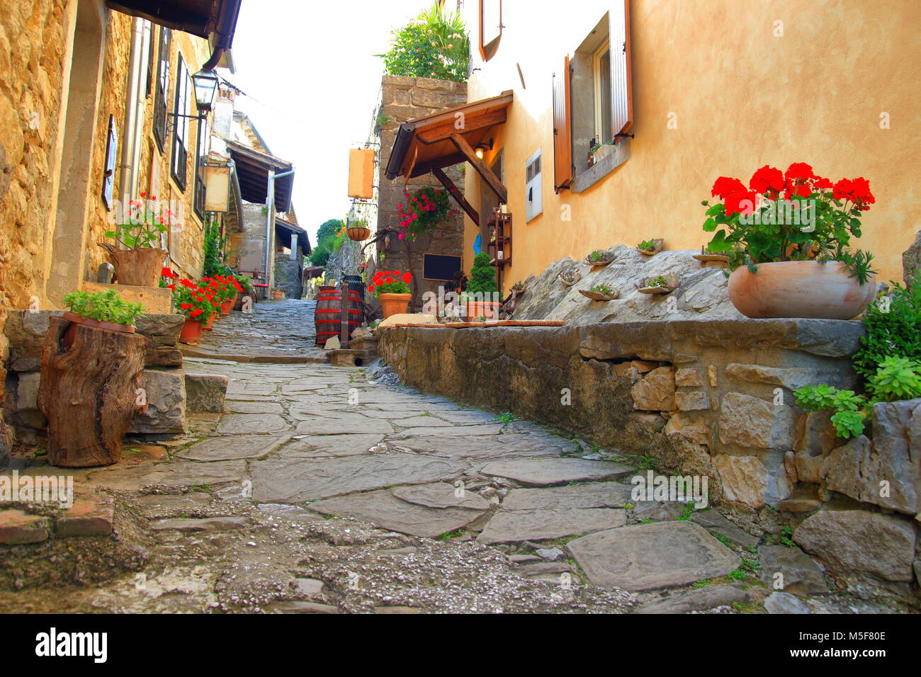 Schöne alte Straße mit Blumen in Hum, die kleinste Stadt der Welt, Istrien, Kroatien Stockfoto