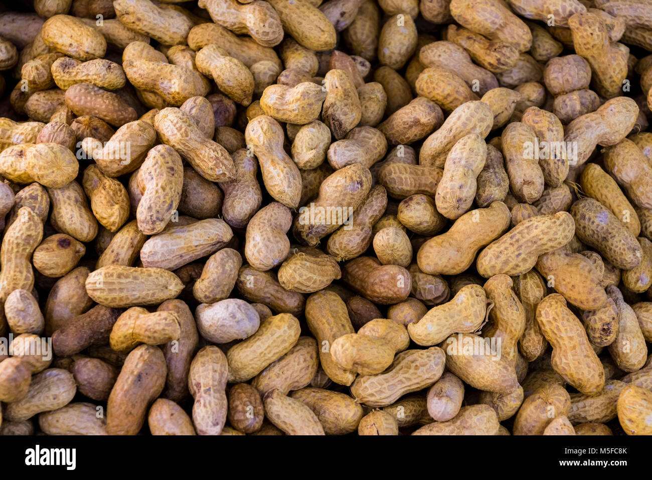 Über Dampf geröstete Erdnüsse auf dem Markt Stockfoto