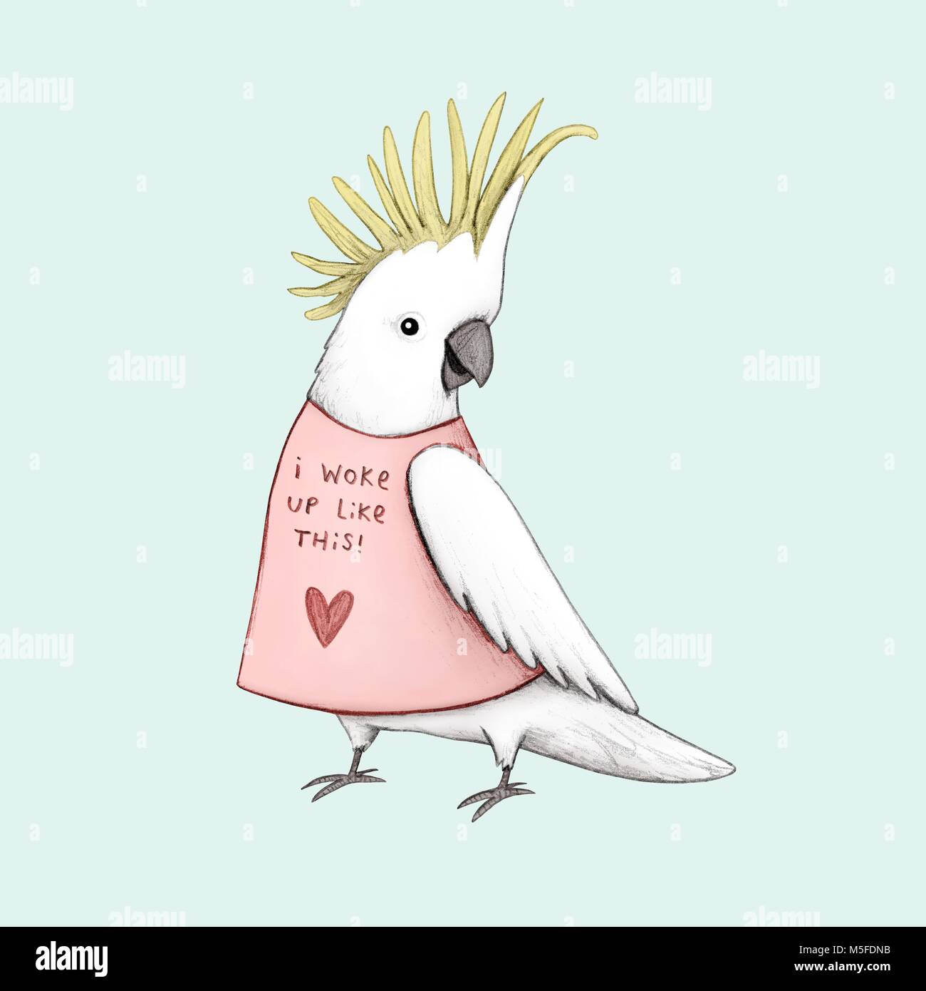  Vogel mit einer frisur -Fotos und -Bildmaterial in hoher Auflösung – Alamy Bildidee 