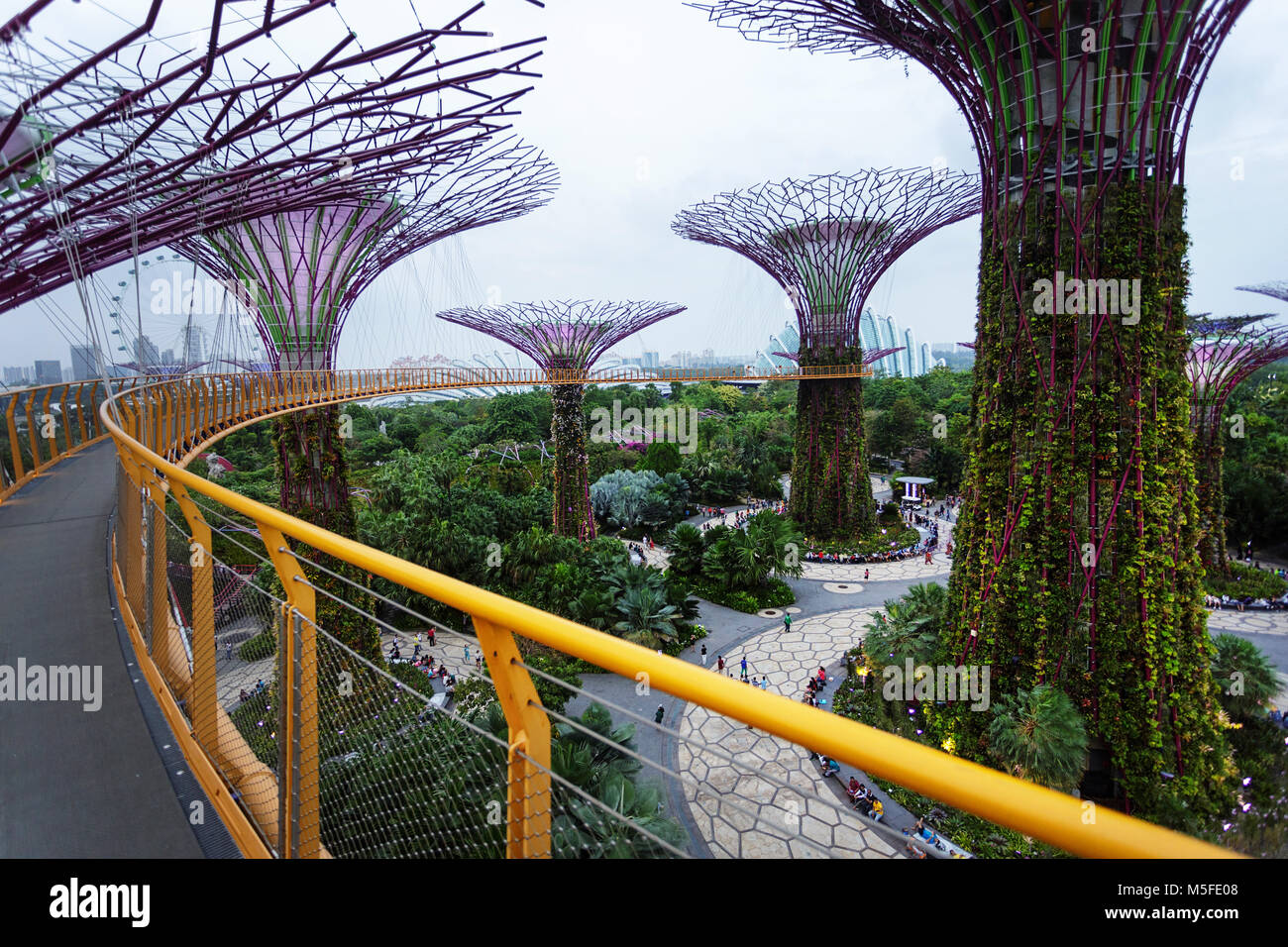Erhöhten Laufsteg zwischen Supertrees an Supertree Grove in Gärten durch die Bucht, Singapur Stockfoto