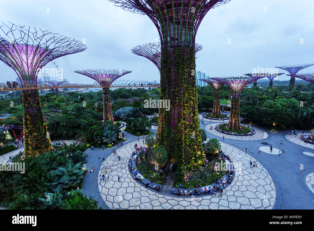 Supertree Grove in Gärten durch die Bucht bei Nacht, Singapur Stockfoto