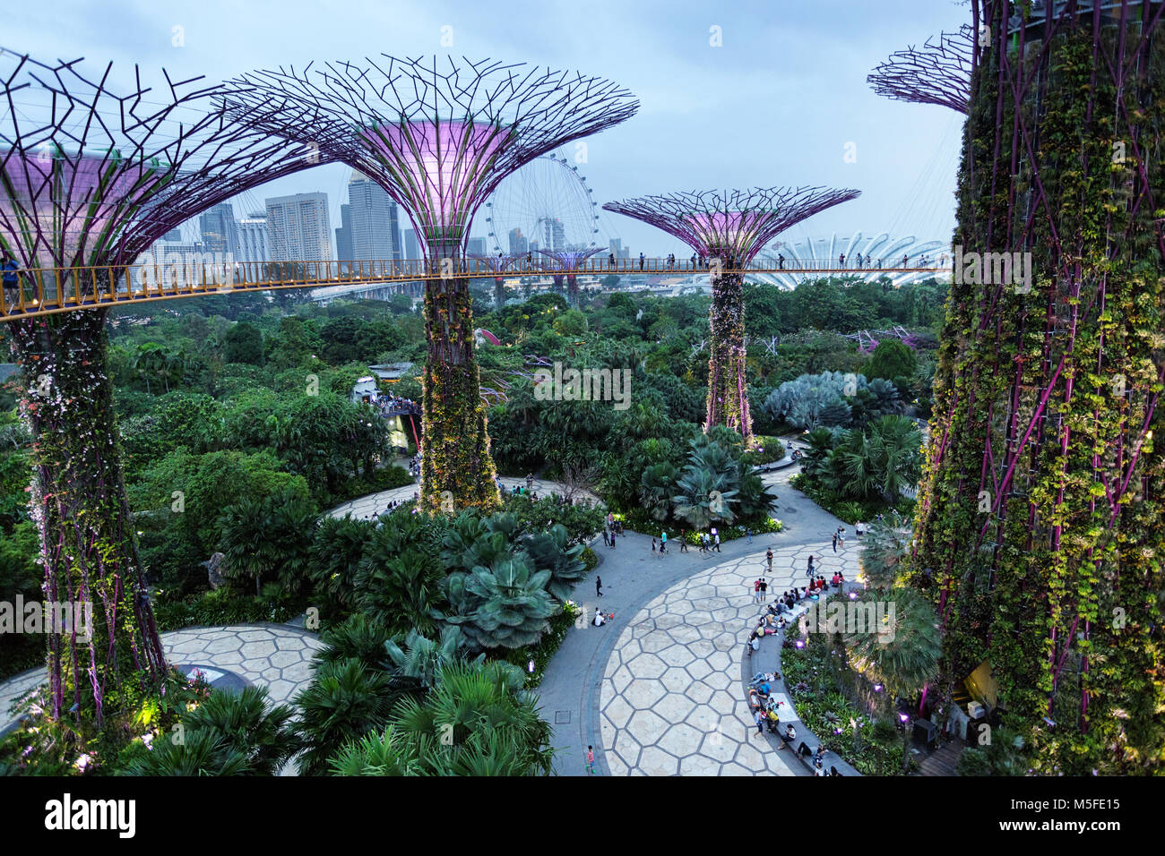 Erhöhten Laufsteg zwischen Supertrees an Supertree Grove in Gärten durch die Bucht bei Dämmerung, Singapur Stockfoto