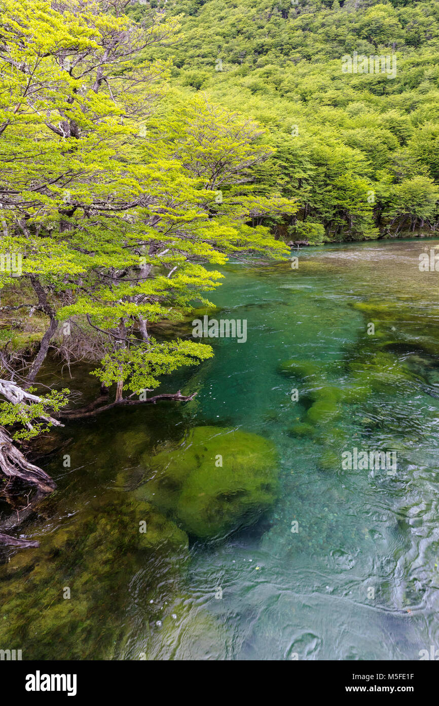 Klar Gletscherwasser; Rio del Vuetas; in der Nähe von Reserva Provincial Lago del Desierto, Patagonien, Argentinien Stockfoto