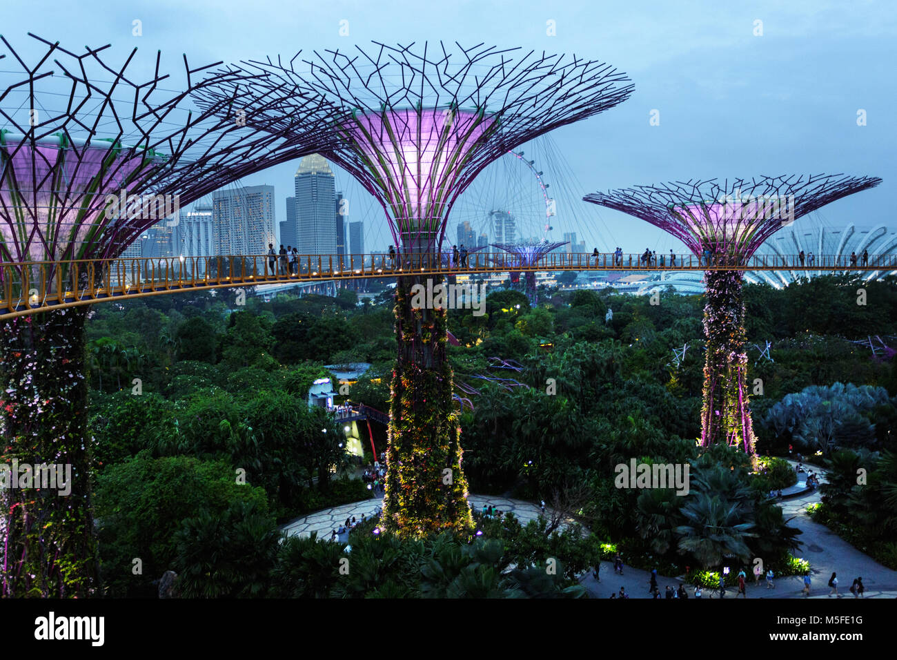 Supertree Grove in Gärten durch die Bucht bei Nacht, Singapur Stockfoto