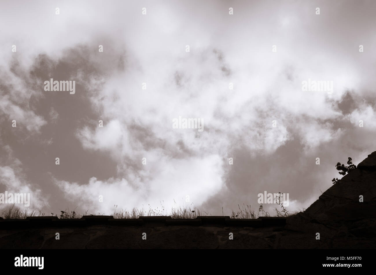 Ein rustikales, verwitterte Stonewall, Blume Silhouetten und Moody Wolken mit großen Kopieren - Raum. Stockfoto