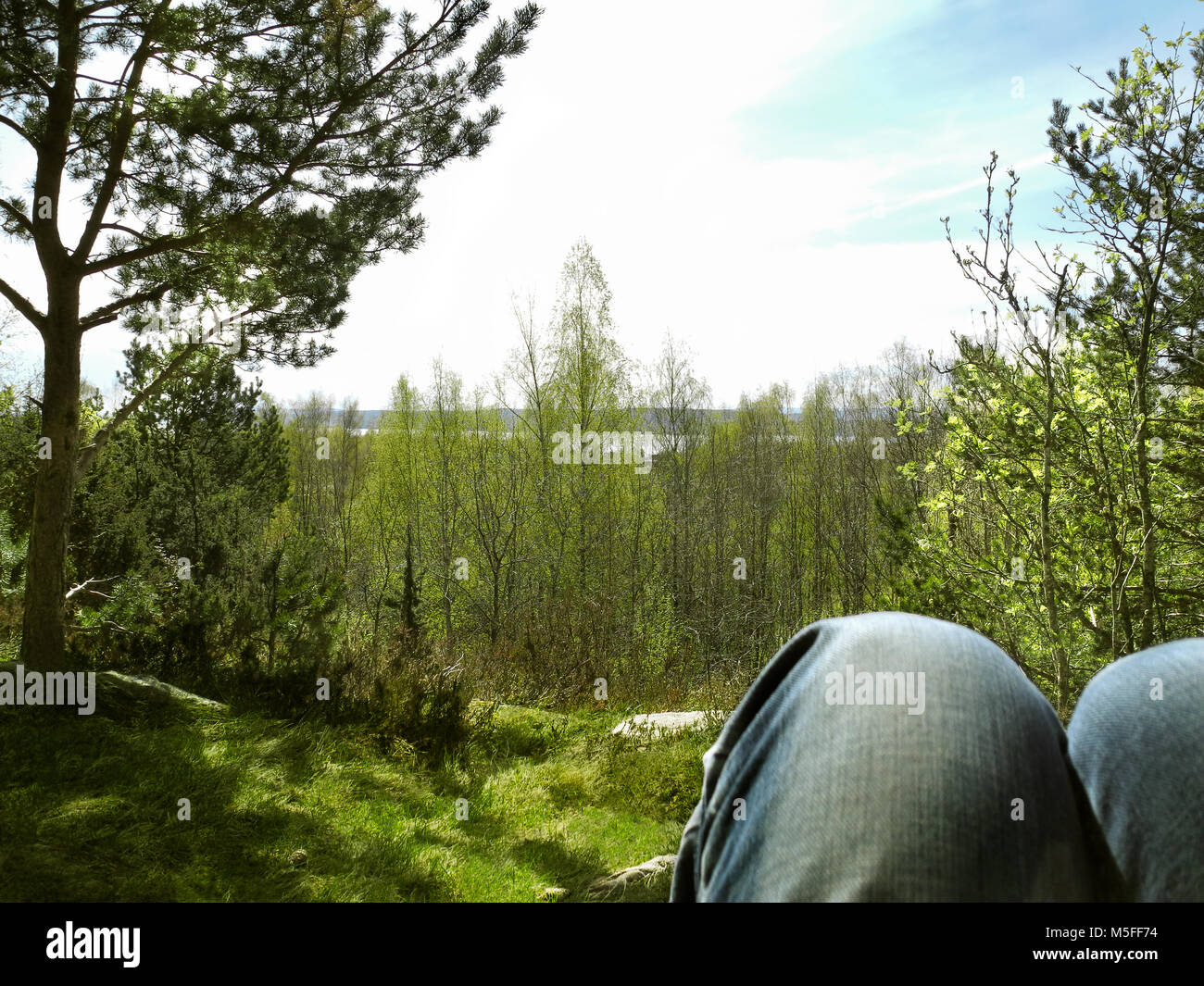 Erholung und Achtsamkeit in einem hellen, grünen Wald. Stockfoto