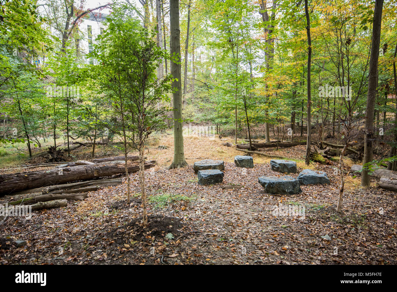 Ein Kreis aus Steinen sitzen in ruhiger Ort im Wald, Bethesda, Maryland. Stockfoto