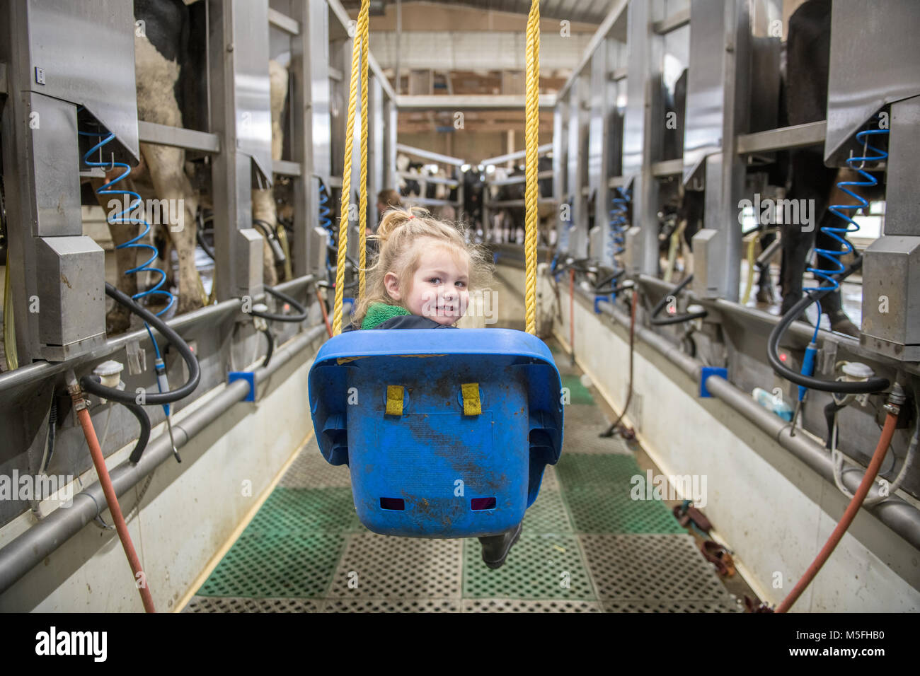 Kleines Mädchen dreht sich um und lächelt während der Sitzung in Schwingen Kindersitz im Melkstand, Wattsburg, Pennsylvania Stockfoto