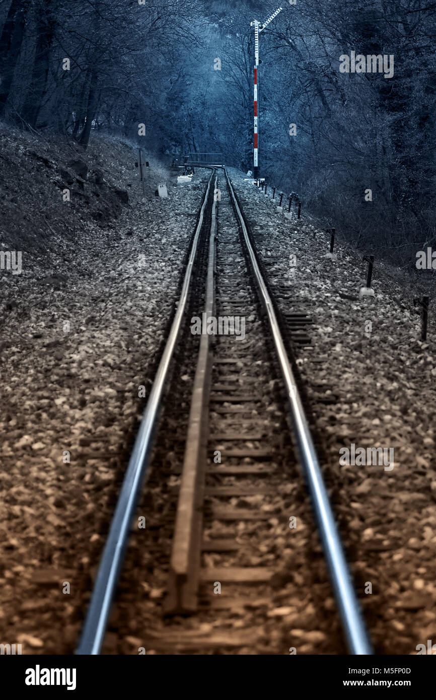 Gerade Eisenbahn in Wald, Semaphore Stockfotografie Alamy