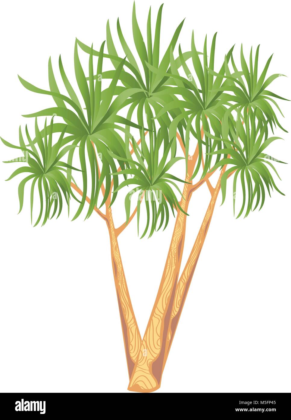 Cordyline Palm Tree Stock Vektor