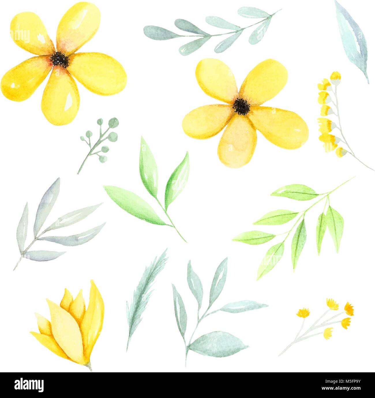 Gelb Aquarell botanischer Elemente, gelbe Blumen, grünen Blätter und Zweige Hand gezeichnet. Aquarell Abbildung Hand gezeichnet. Stock Vektor