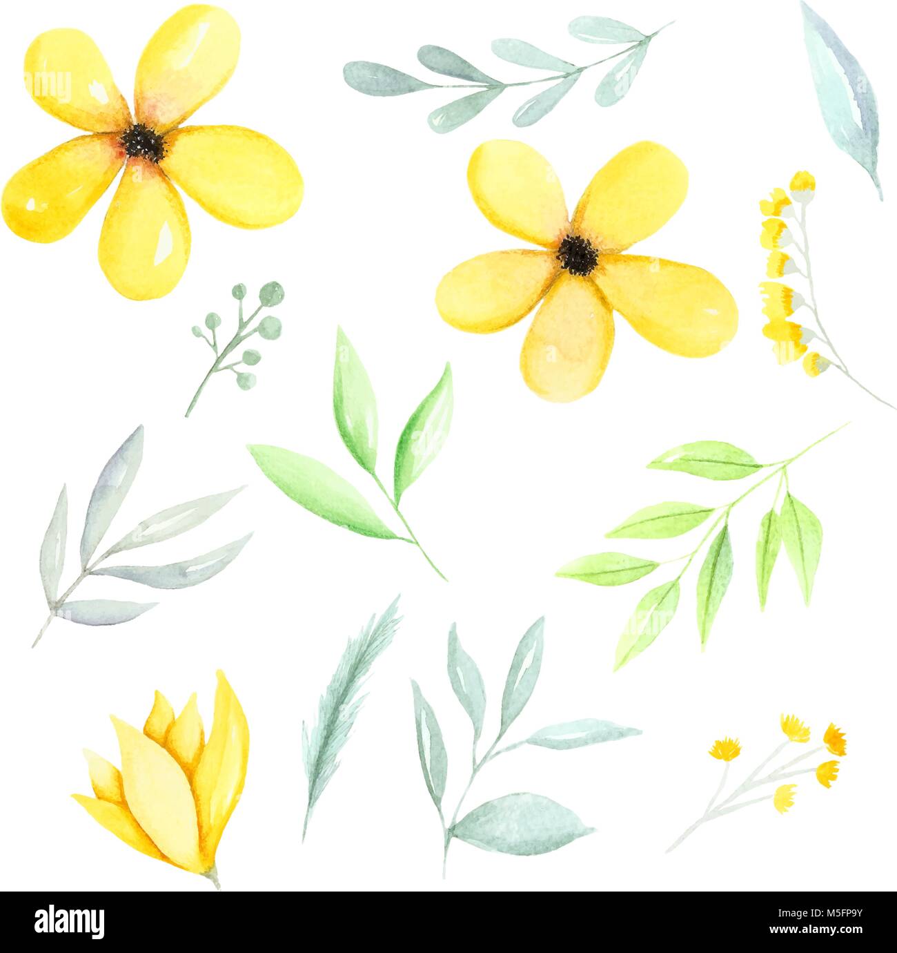 Gelb Aquarell Botanischer Elemente Gelbe Blumen Grunen Blatter Und Zweige Hand Gezeichnet Aquarell Abbildung Hand Gezeichnet Stock Vektorgrafik Alamy