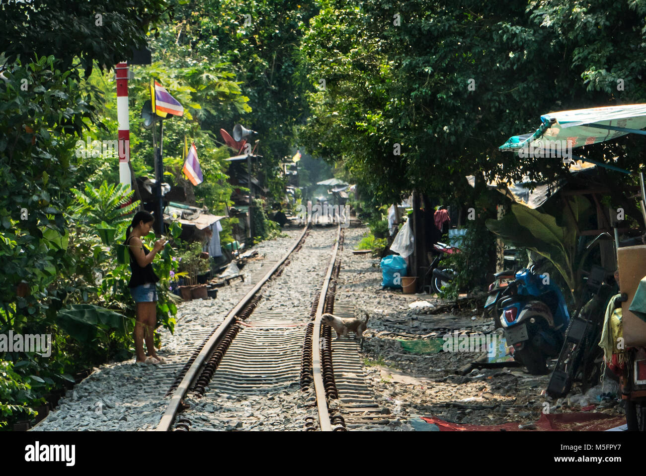 Hütten von armen Leuten am Rande der Bahngleise in Bangkok bewohnt Stockfoto