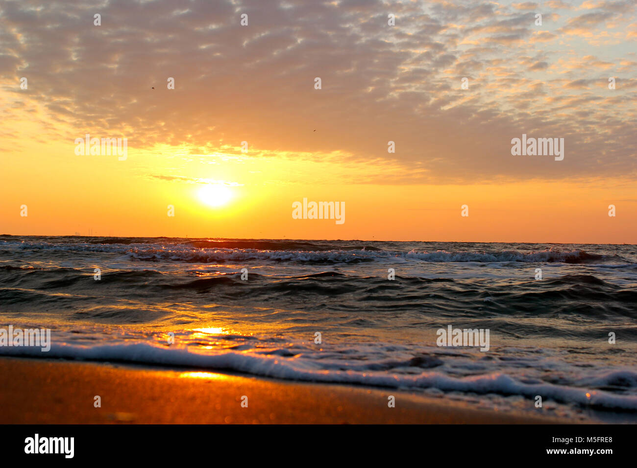 Schönen Sonnenaufgang an einem Strand in Corpus Christi, Texas Stockfoto