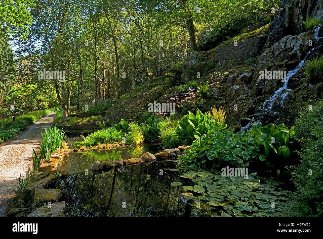 Kleine Wasser Garten unter dem Wasserfall, Mount Congreve Gärten, in der Nähe von Kilmeaden, County Waterford, Irland Stockfoto