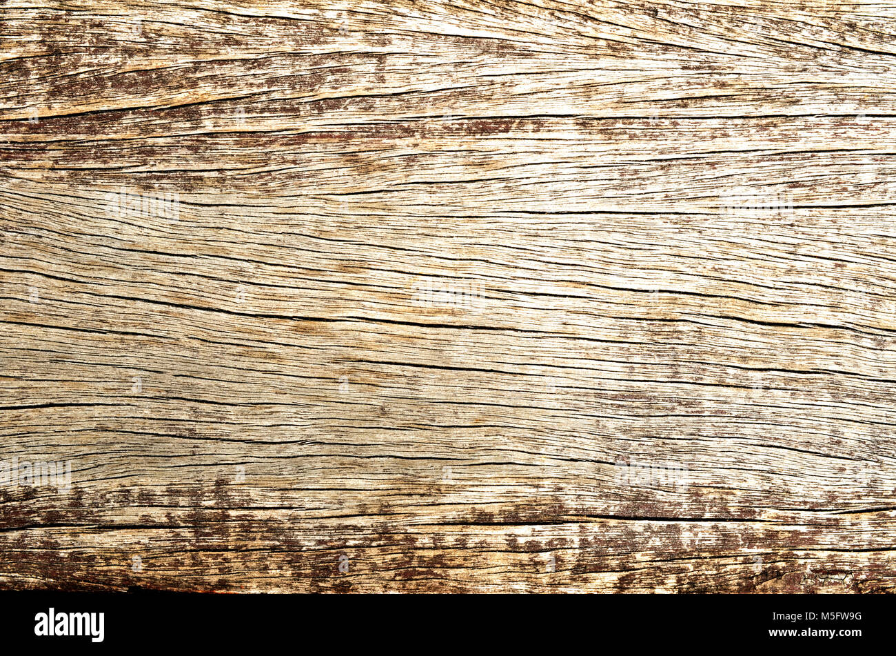 Grunge Textur Fleck auf altem Holz Platte, Nahaufnahme foto Bild von Grunge Textur auf ein altes Holz platte Fleck vorhanden ein Detail der Textur und des Musters Stockfoto