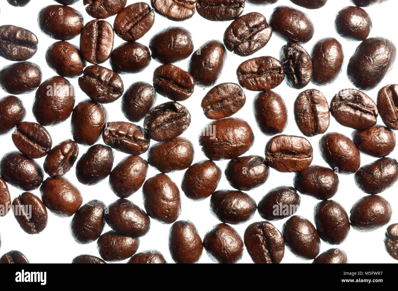 Kaffeebohnen isolieren, eine Sicht von oben closeup Foto Bild dunkler gerösteten Kaffeebohnen auf weißen hellen Hintergrund isolieren, kaffeebohne Hintergrund, Co Stockfoto