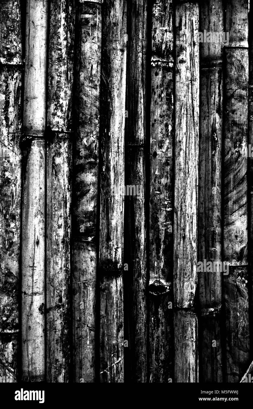 Bambus Holz Zaun, eine schwarze und weiße Nahaufnahme Bild eines bambus holz Zaun vorhanden ein Detail der Textur und Muster aus Bambus Holz in diesem Bereich, können uns Stockfoto