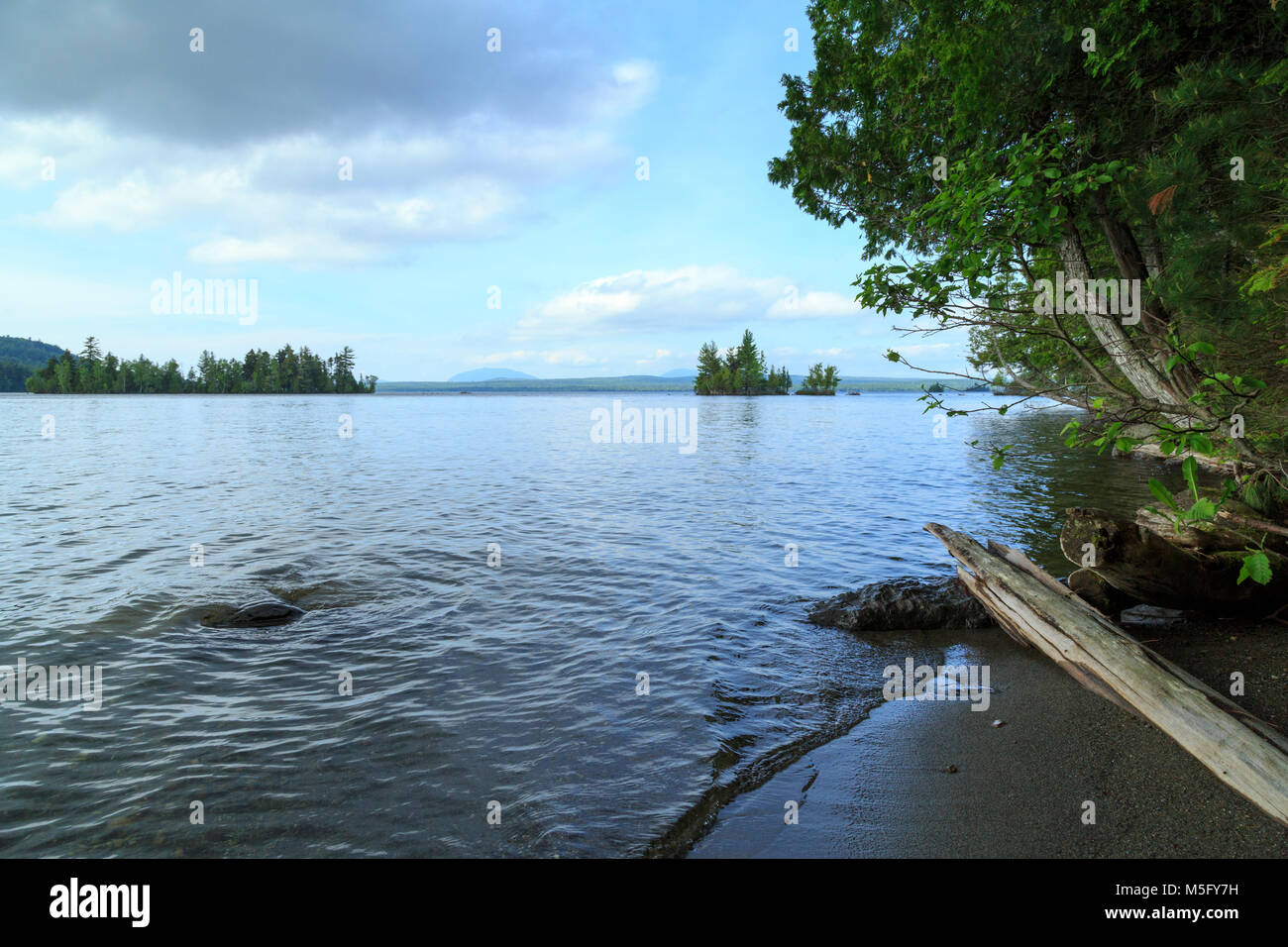 Küste im Sommer, Lily Bay State Park, an Moosehead Lake, Greenville, Maine Stockfoto