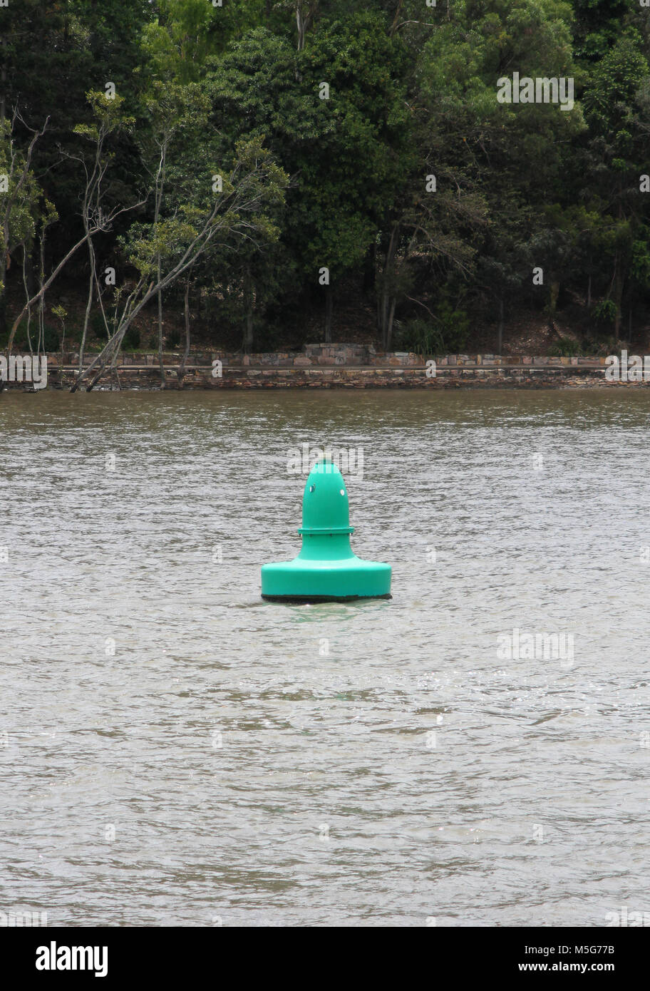 Eine grüne Boje Fahrwassermarkierung Brisbane River, Australien Stockfoto