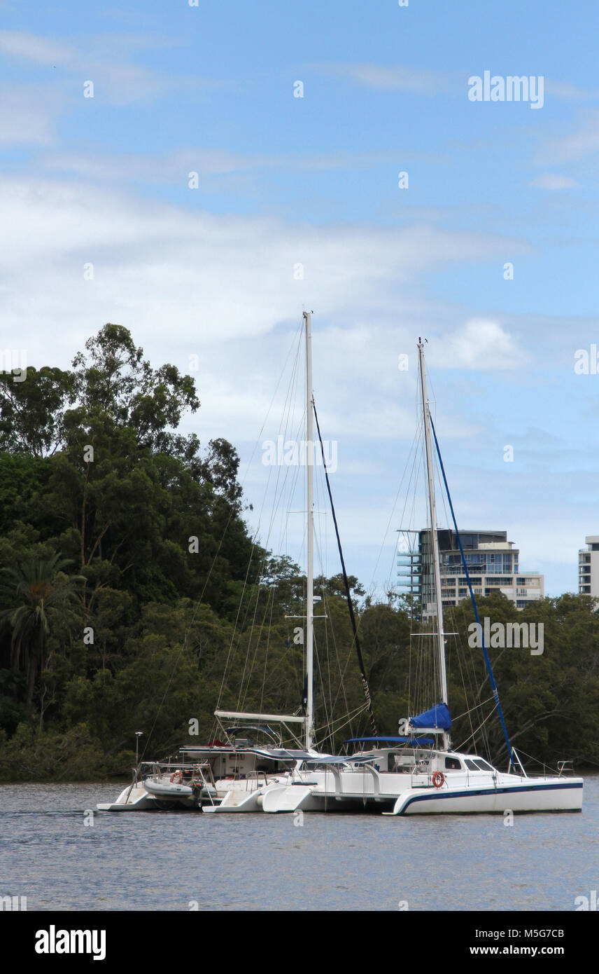 Zwei Katamarane stationär am Brisbane River, Australien Stockfoto