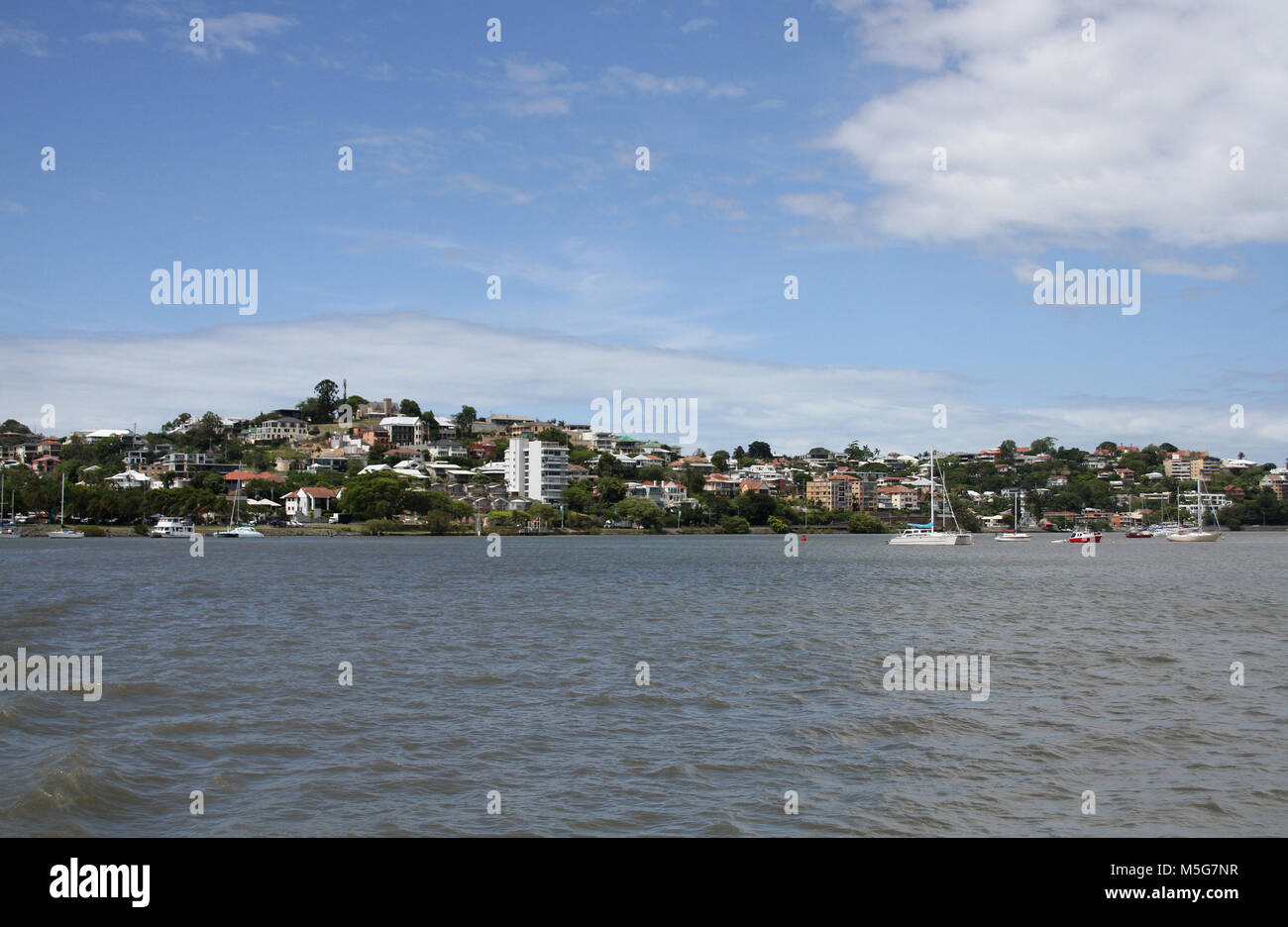 Häuser entlang des Brisbane River, Australien Stockfoto