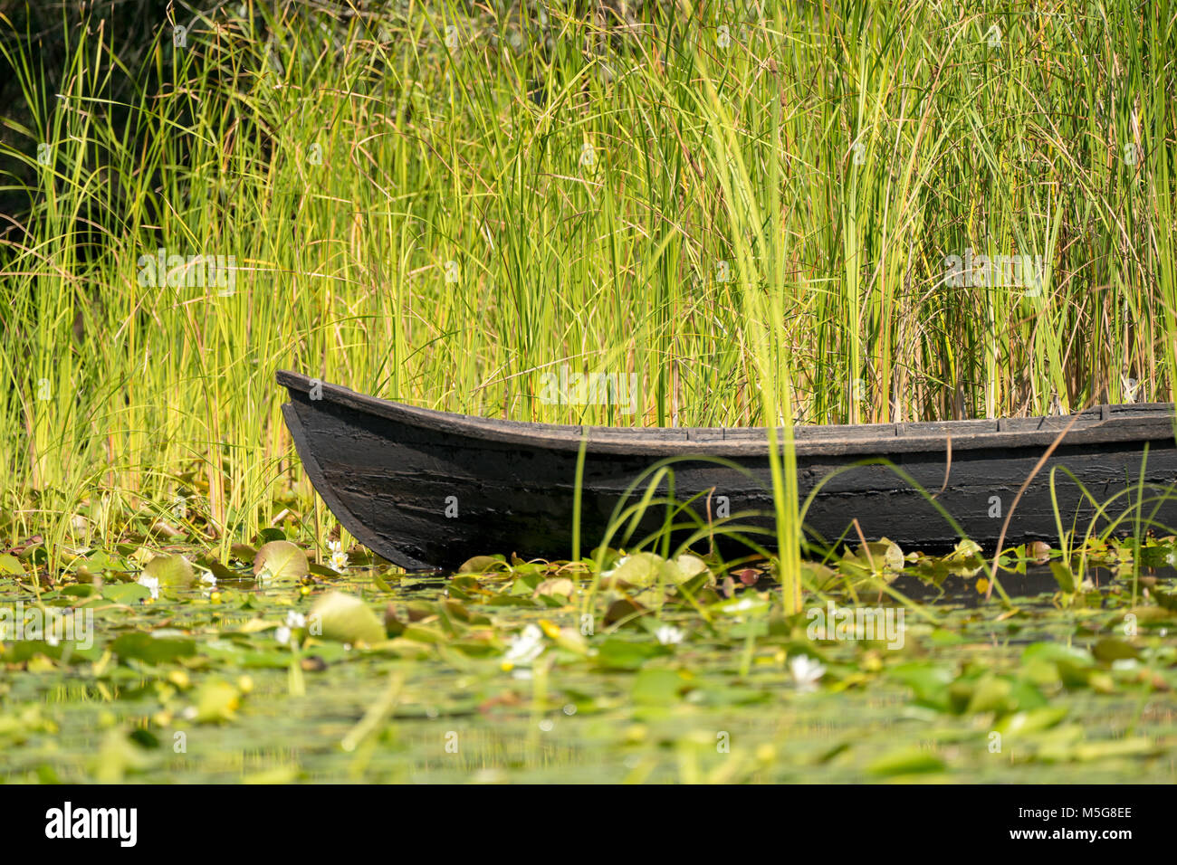 Traditionelle floss namens Lotca das Fischerboot der Fishermans im Donau Delta (Delta Dunarii) Rumänien in der Nähe von Letea Dorf Stockfoto