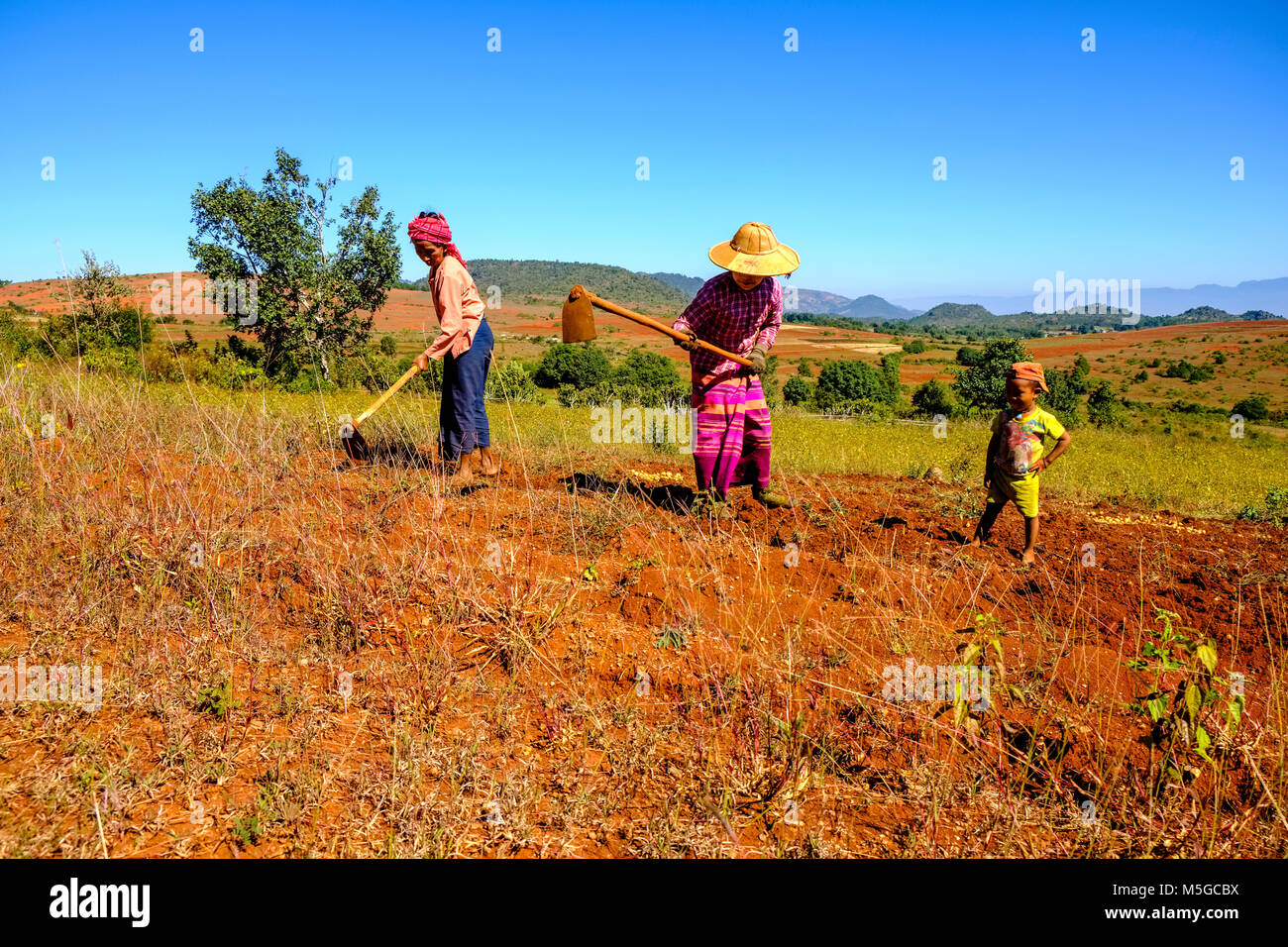 Zwei Landwirte Frauen arbeiten auf einem Feld in den Hügeln des Stammes- Bereich in der traditionellen Weise Stockfoto
