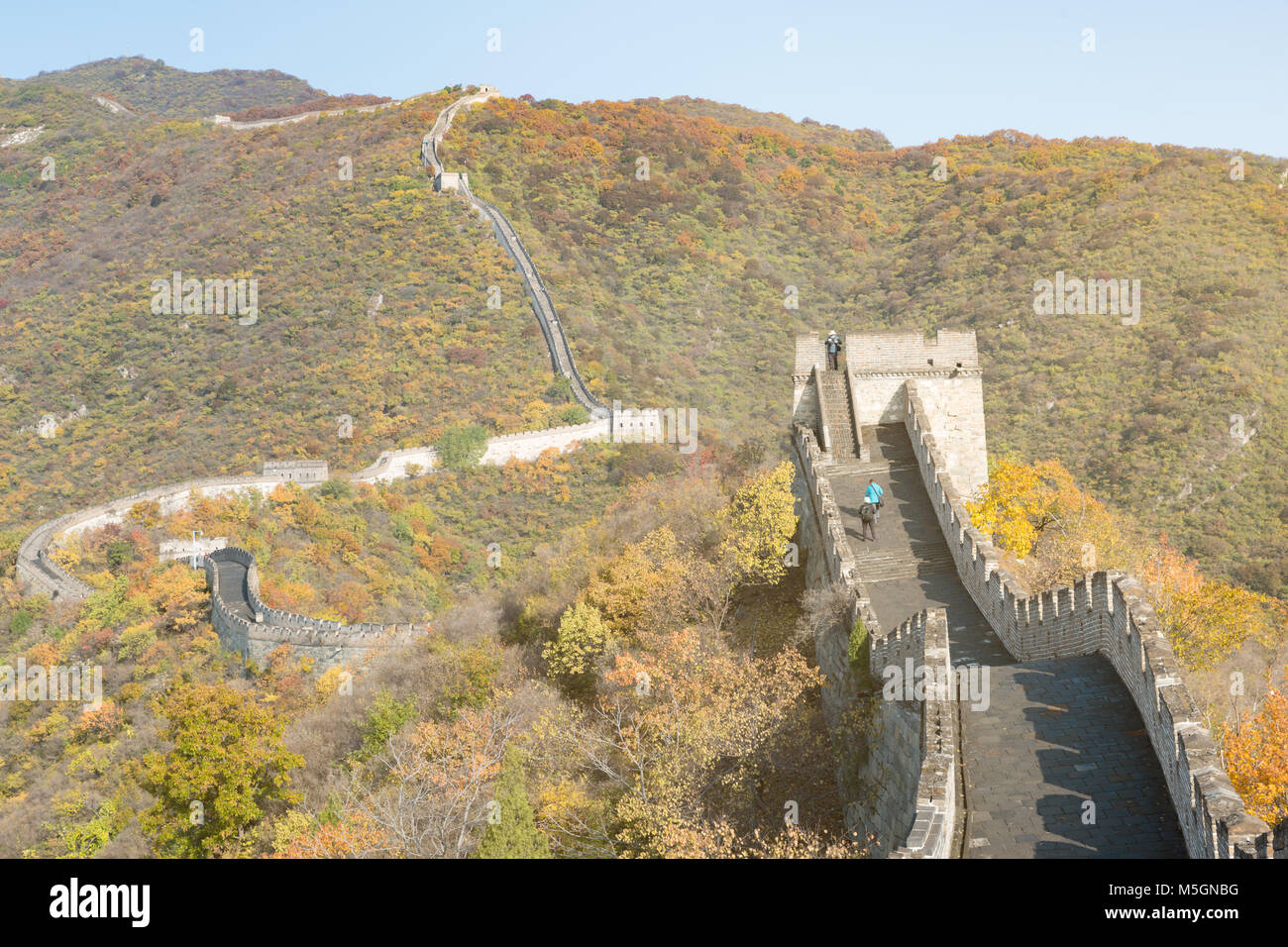 China die Große Mauer Fernsicht komprimierte Türme und wandsegmente Herbst in den Bergen in der Nähe von Beijing alte chinesische Festung militärischen l Stockfoto