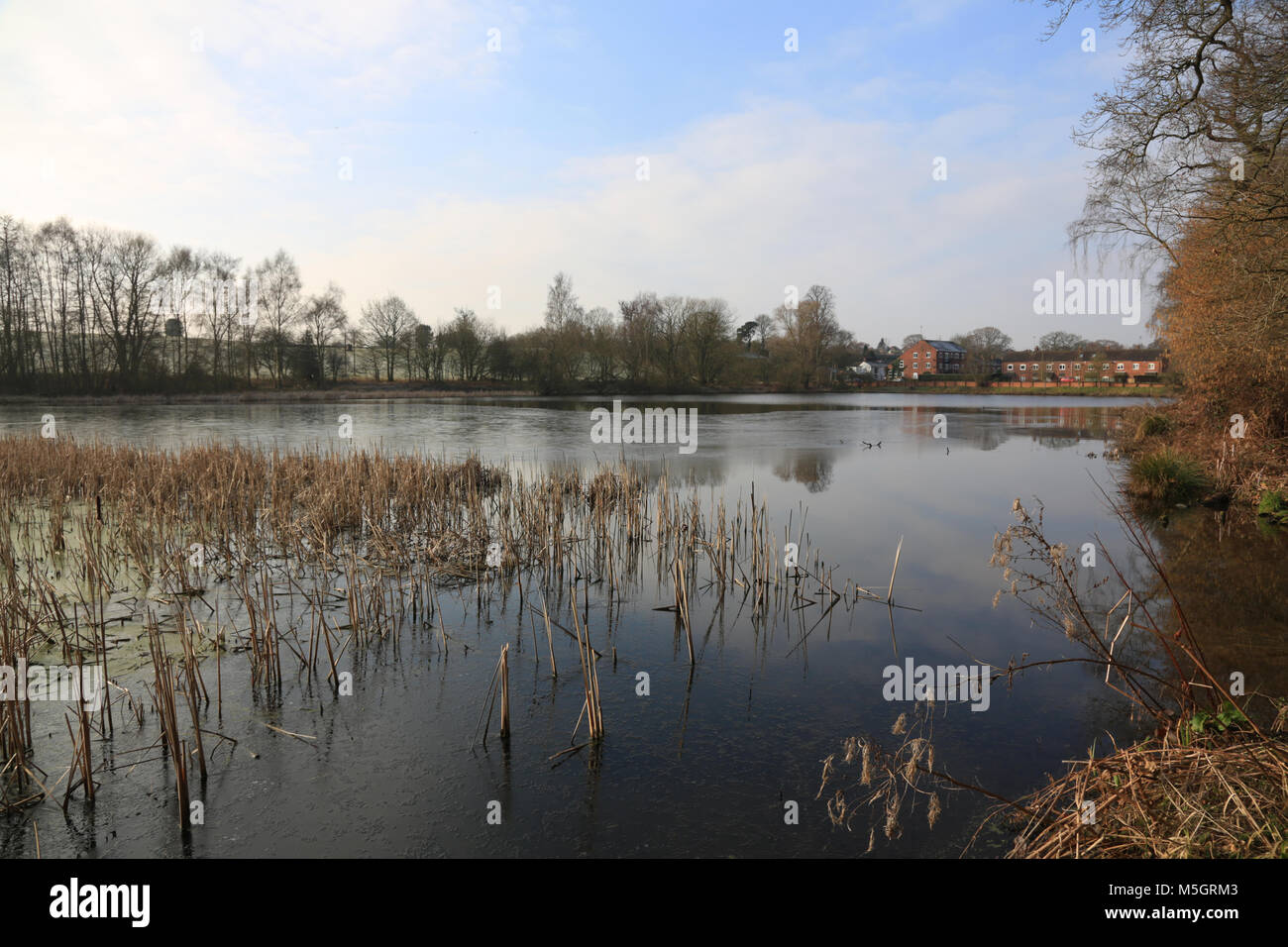 Hurcott pools und Holz Nature Reserve, in der Nähe von Kidderminster, Worcestershire, UK. Stockfoto