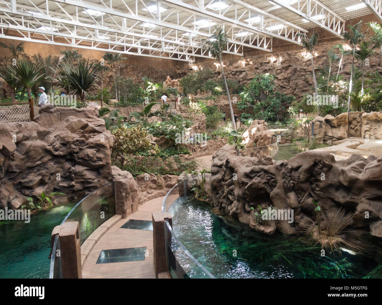 Poema del Mar, neues Aquarium in Las Palmas, Gran Canaria, Kanarische Inseln, Spanien Stockfoto