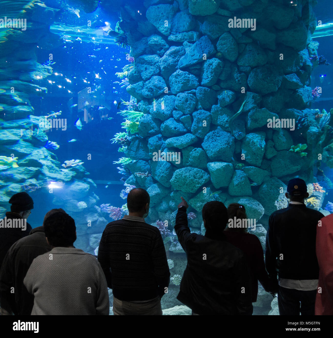 Poema del Mar, neues Aquarium in Las Palmas, Gran Canaria, Kanarische Inseln, Spanien Stockfoto