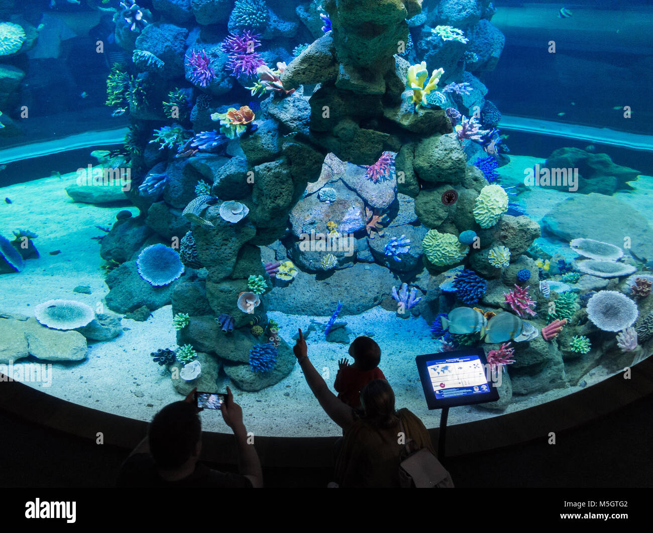 Poema del Mar, neues Aquarium in Las Palmas, Gran Canaria, Kanarische Inseln, Spanien Stockfoto