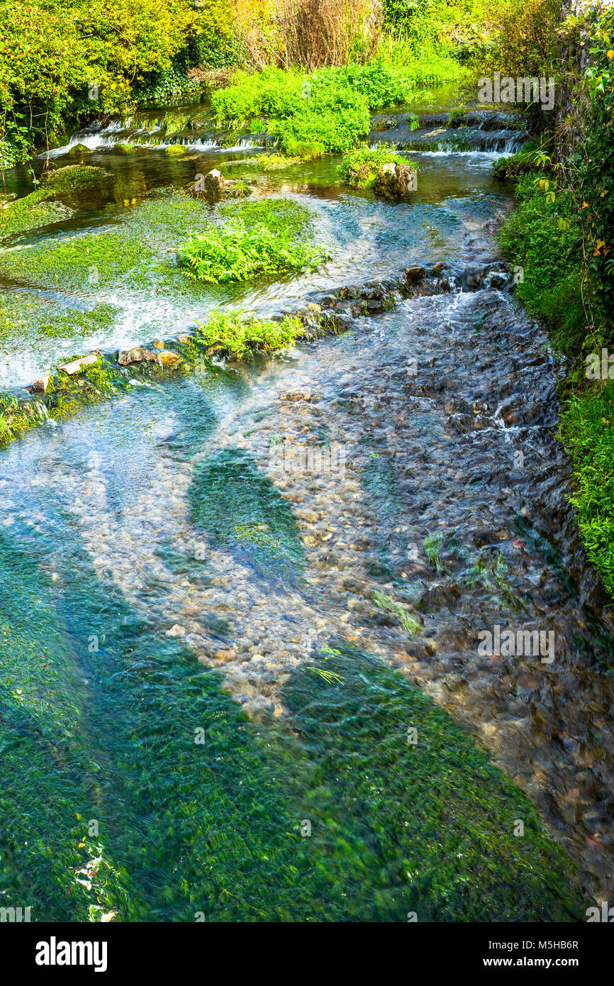 Grüne Unkraut in den Fluß Yeo, die durch Cheddar Gorge Teil der Mendip in Somerset, Großbritannien läuft. Stockfoto