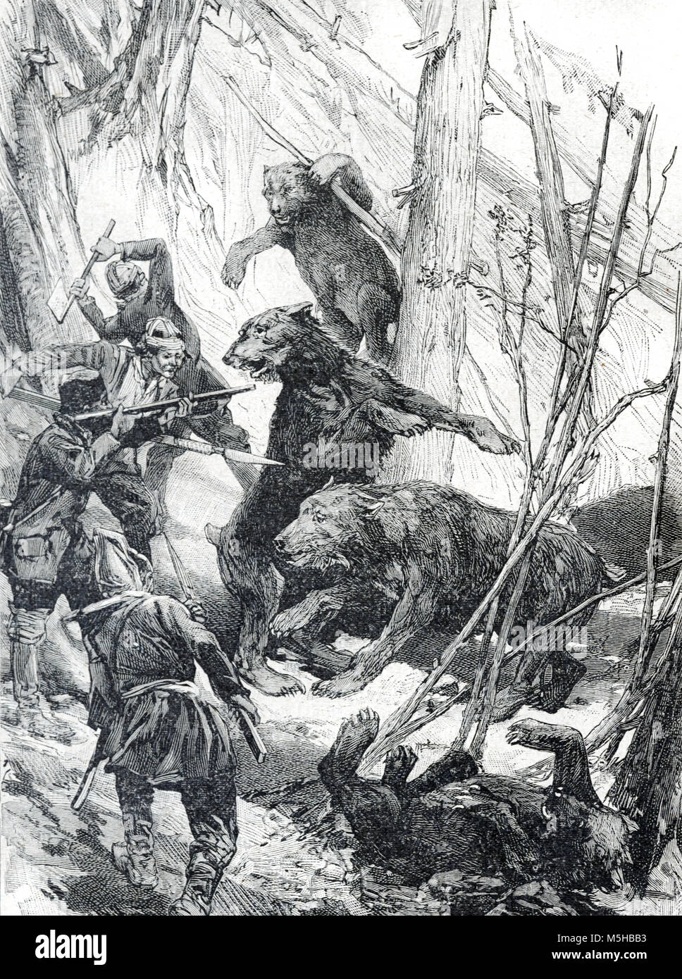 Braunbären, Ursus arctos, und Bear Jäger in den Wäldern von Sibirien, Russland (Gravur, 1889) Stockfoto