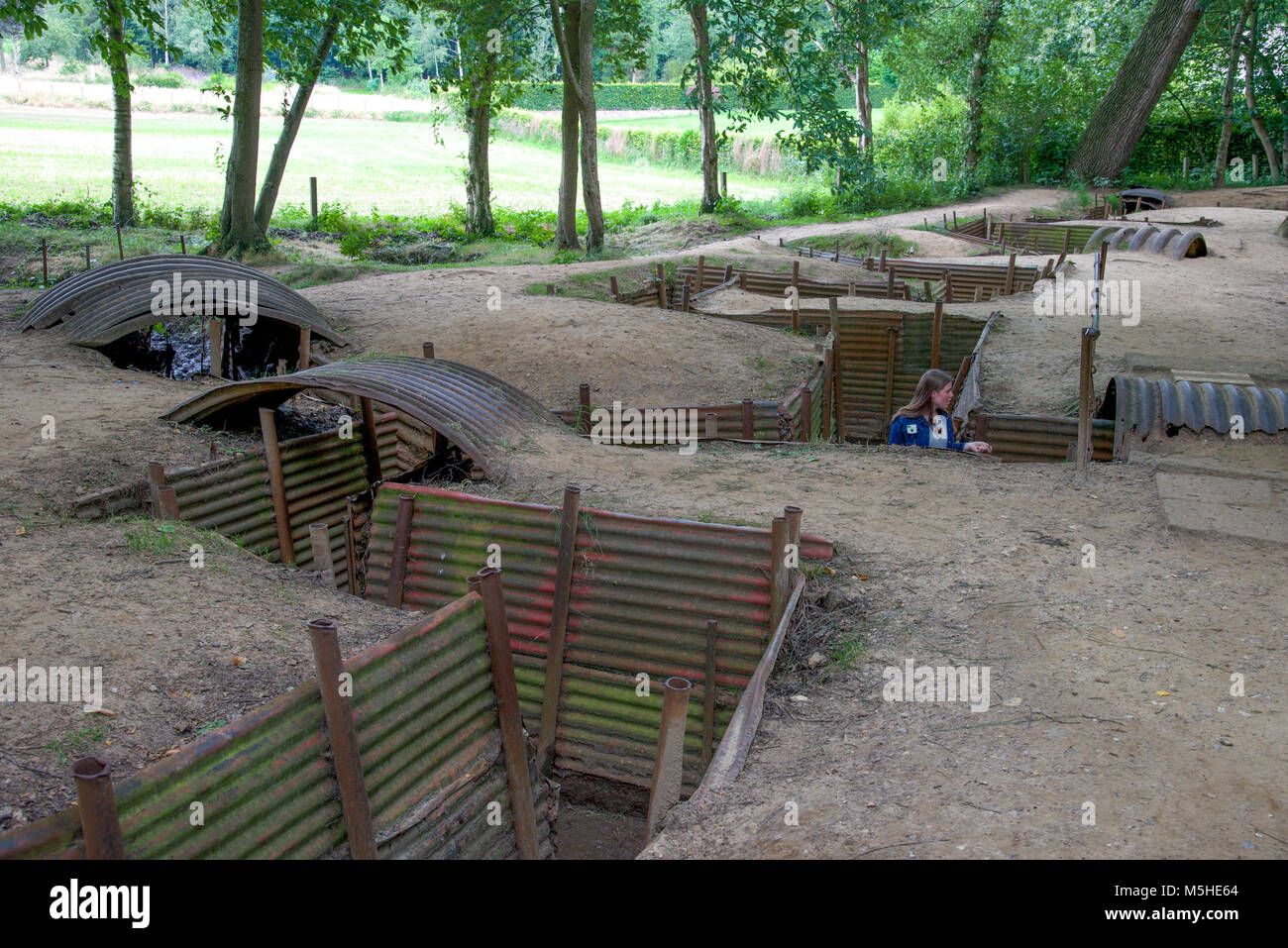 Schützengräben aus dem Ersten Weltkrieg bewahrt im Sanctuary Holz, Belgien Stockfoto