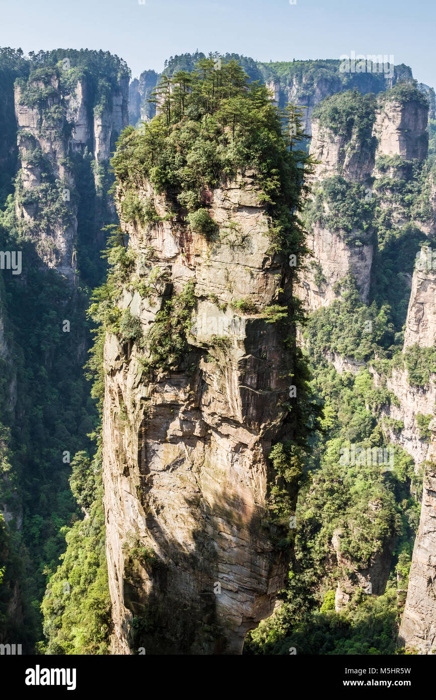 China, Hunan, Zhangjiajie National Park (Park von Avatar), karst Säulen Stockfoto