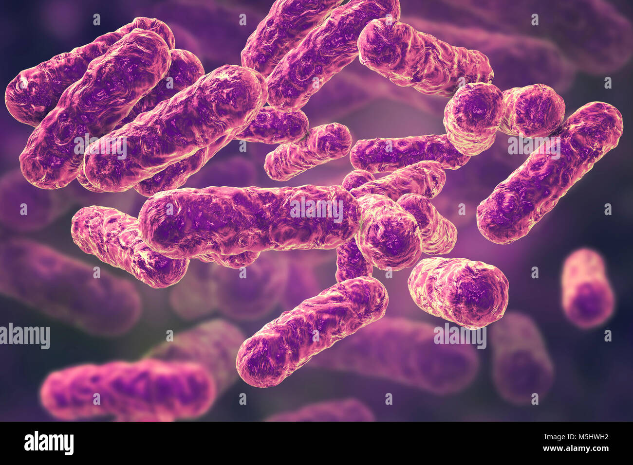 Bartonella henselae Bakterien, computer Abbildung. Dieses Bakterium verursacht cat-scratch Disease, oder bartonellosis und wurde vorher als Rochalimaea Bakterien bekannt. Stockfoto