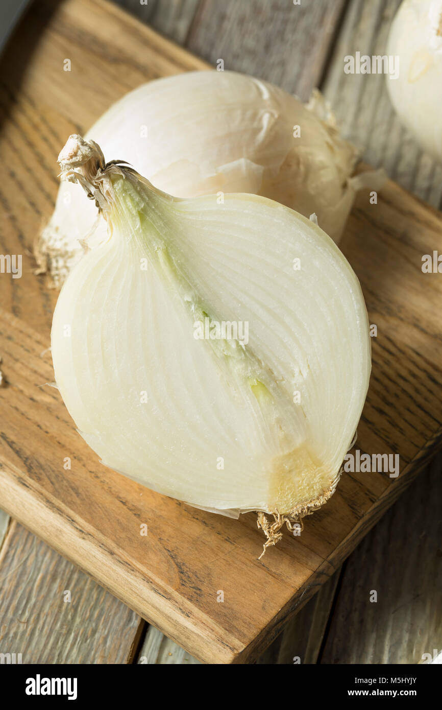 Rohe organische weiße Zwiebeln zum Schneiden bereit Stockfoto