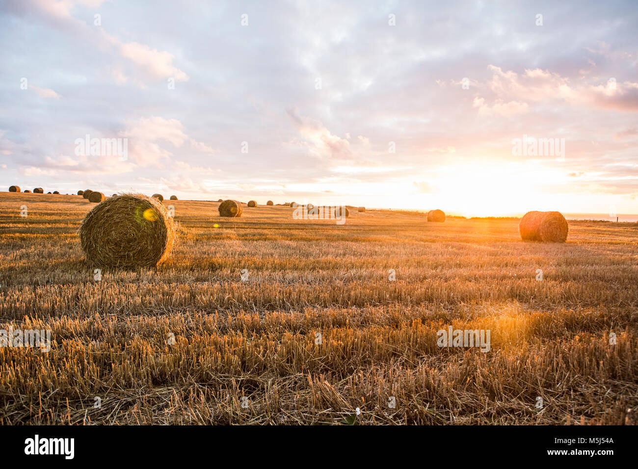 Frankreich, Normandie, Yport, Strohballen auf dem Feld bei Sonnenuntergang Stockfoto