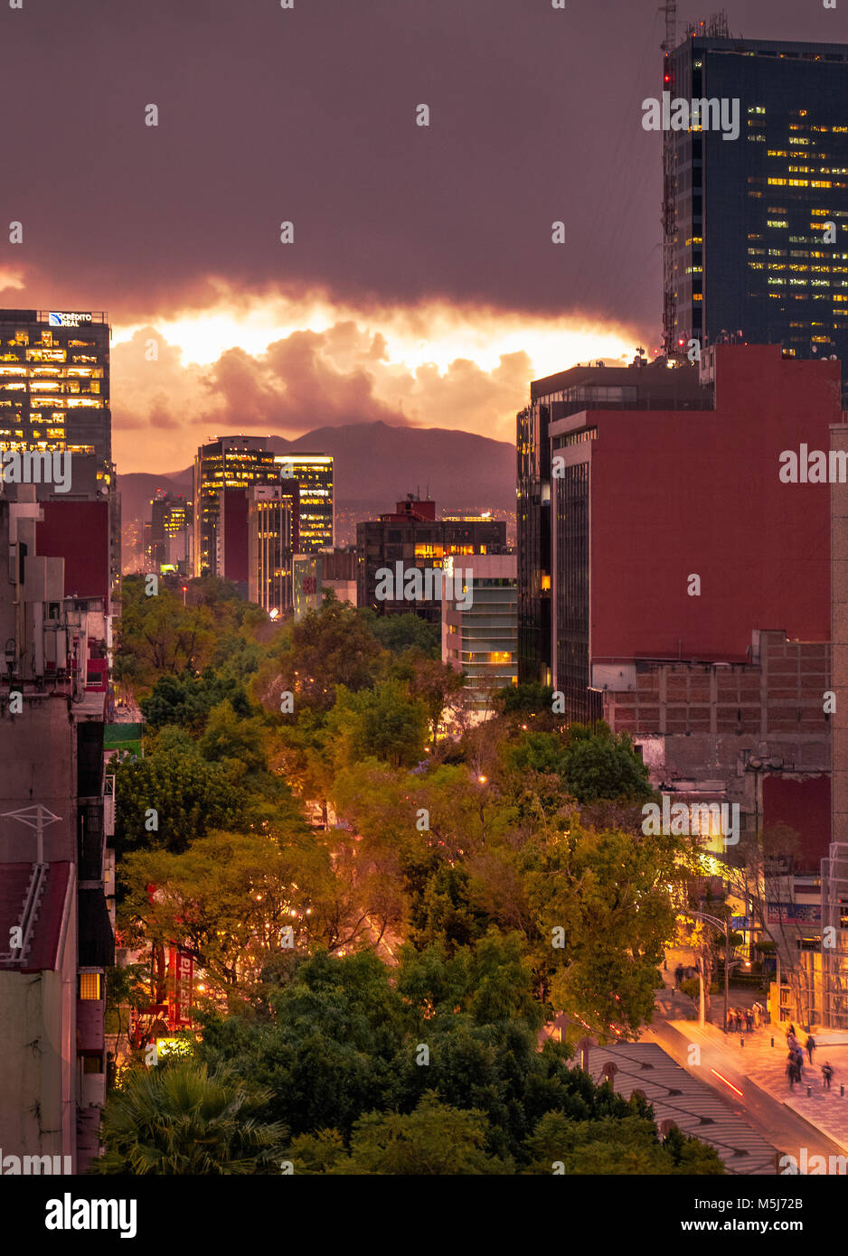 Insurgentes Avenue Ciudad de México Stockfoto