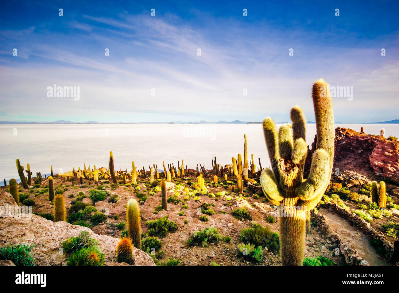 Blick auf Insel Incahuasi durch Salzsee Uyuni in Bolivien Stockfoto