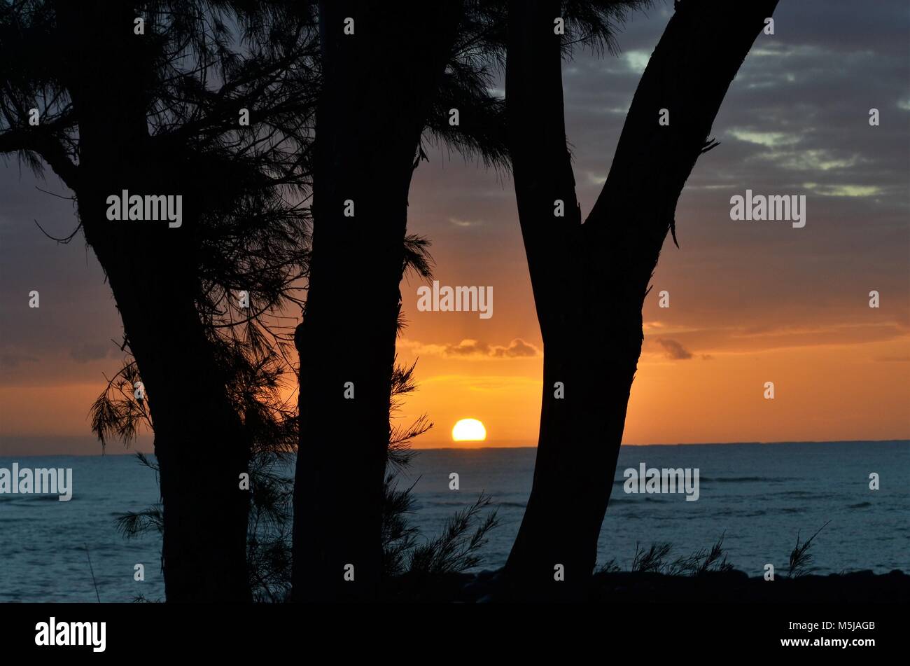 Einen tropischen hawaiischen Sunrise peeking zwischen zwei Silhouette Palmen mit Blick auf den Ozean mit der Sonne reflektiert der Wasser Stockfoto