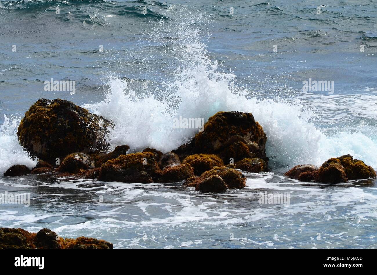 Die Wellen des Ozeans abstürzen und Spritzen gegen die Felsen an der Küste zu Küste von Hawaii Stockfoto