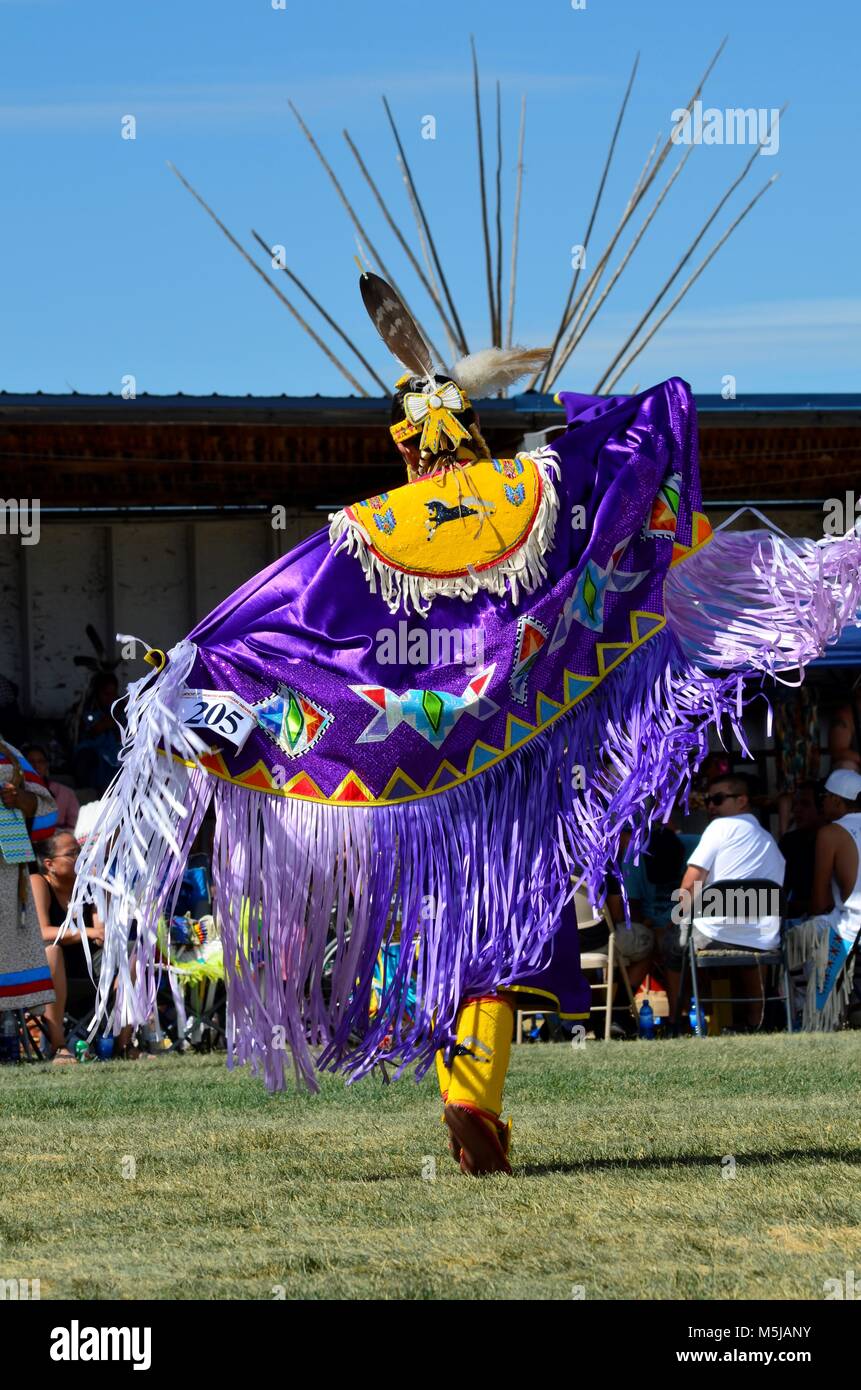 Die Frauen der Ureinwohner Tänze einen Wettbewerb, der sich an eine native Pow Wow, anzubeten, eine erstaunliche leuchtend violetten und gelben Kostüm Stockfoto