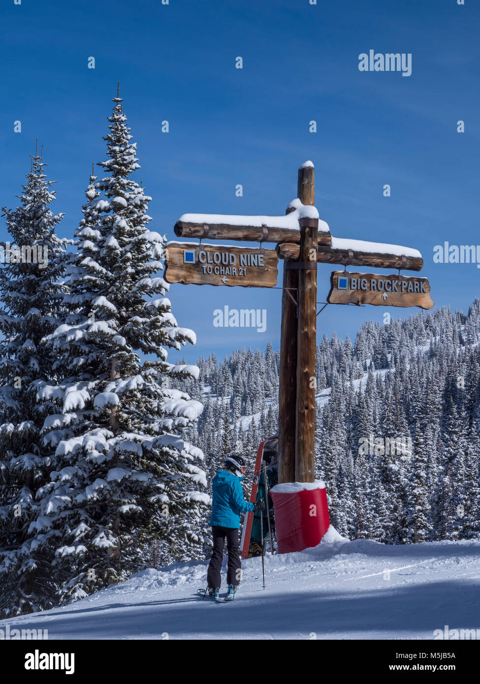 Oben auf der Wolke neun und Big Rock Park, Loipen, Winter, Blue Sky Basin, Skigebiet Vail, Vail, Colorado. Stockfoto